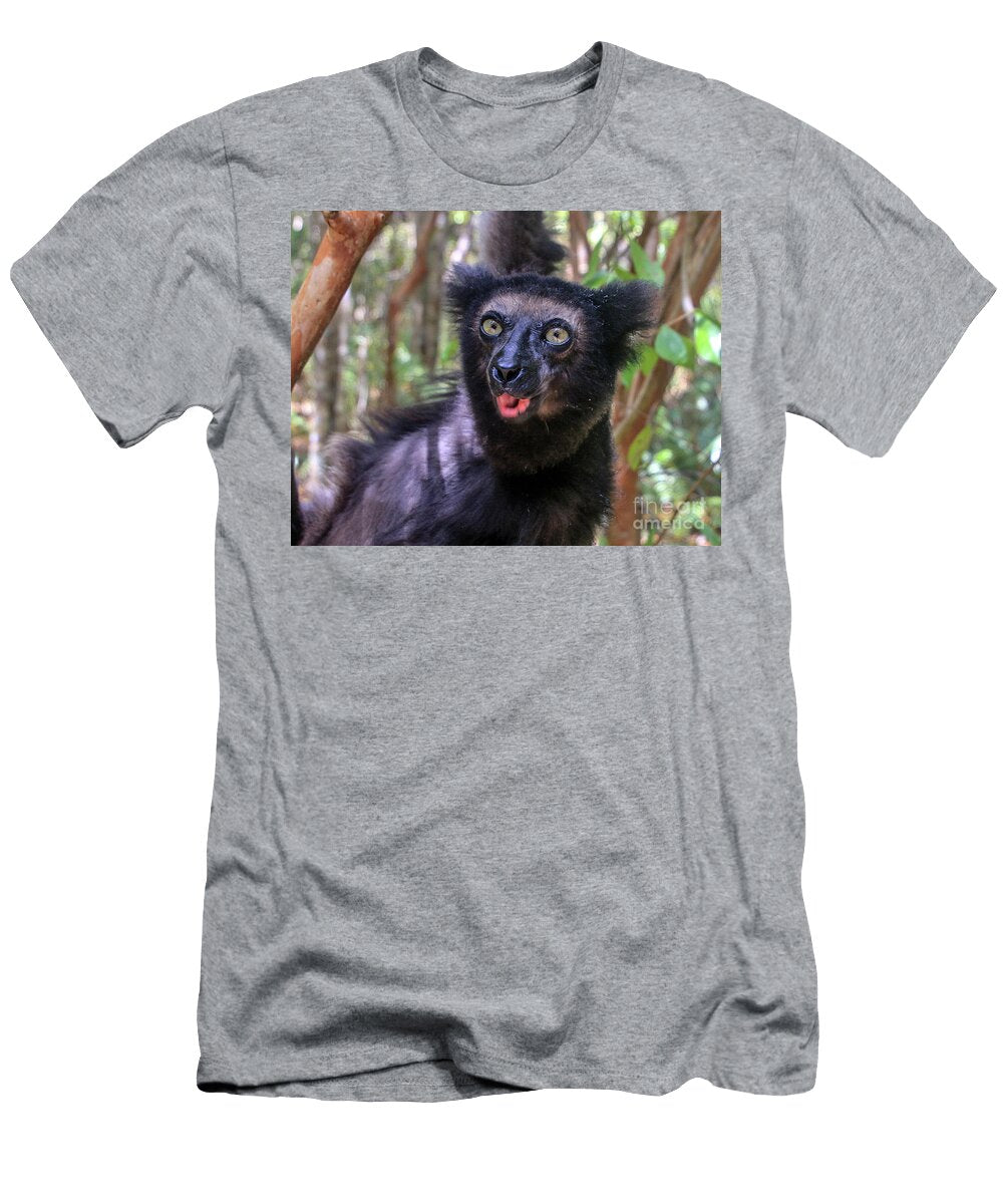 1 Milne Edwards Sifaka Gilad Flesch T-Shirt