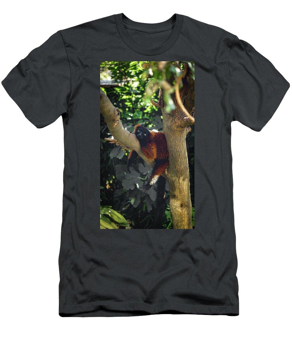 1484 Nature Les Classics T-Shirt