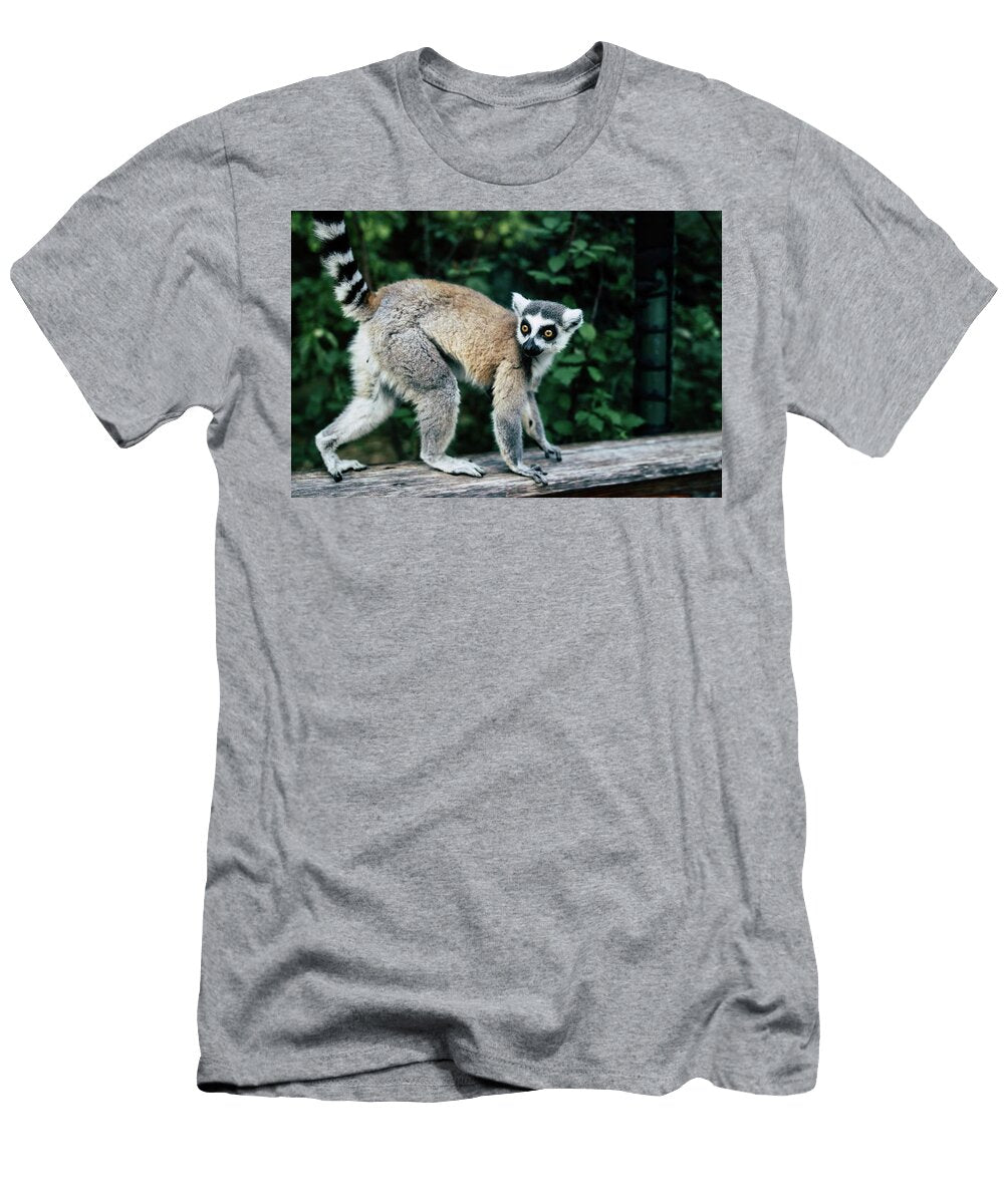 2089 Nature Les Classics T-Shirt