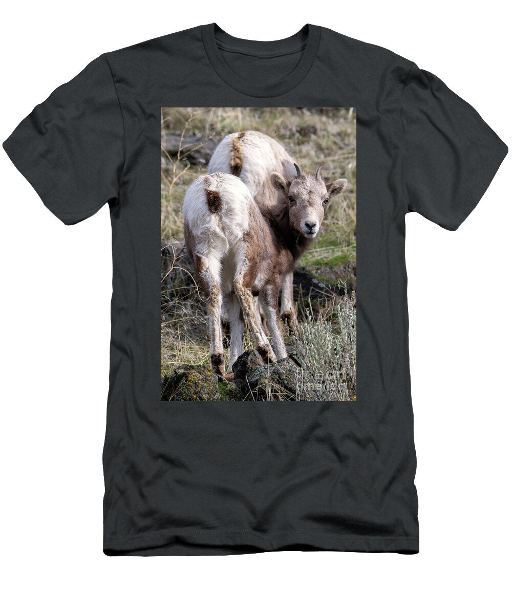 I Am Not a Camel Michael Dawson T-Shirt