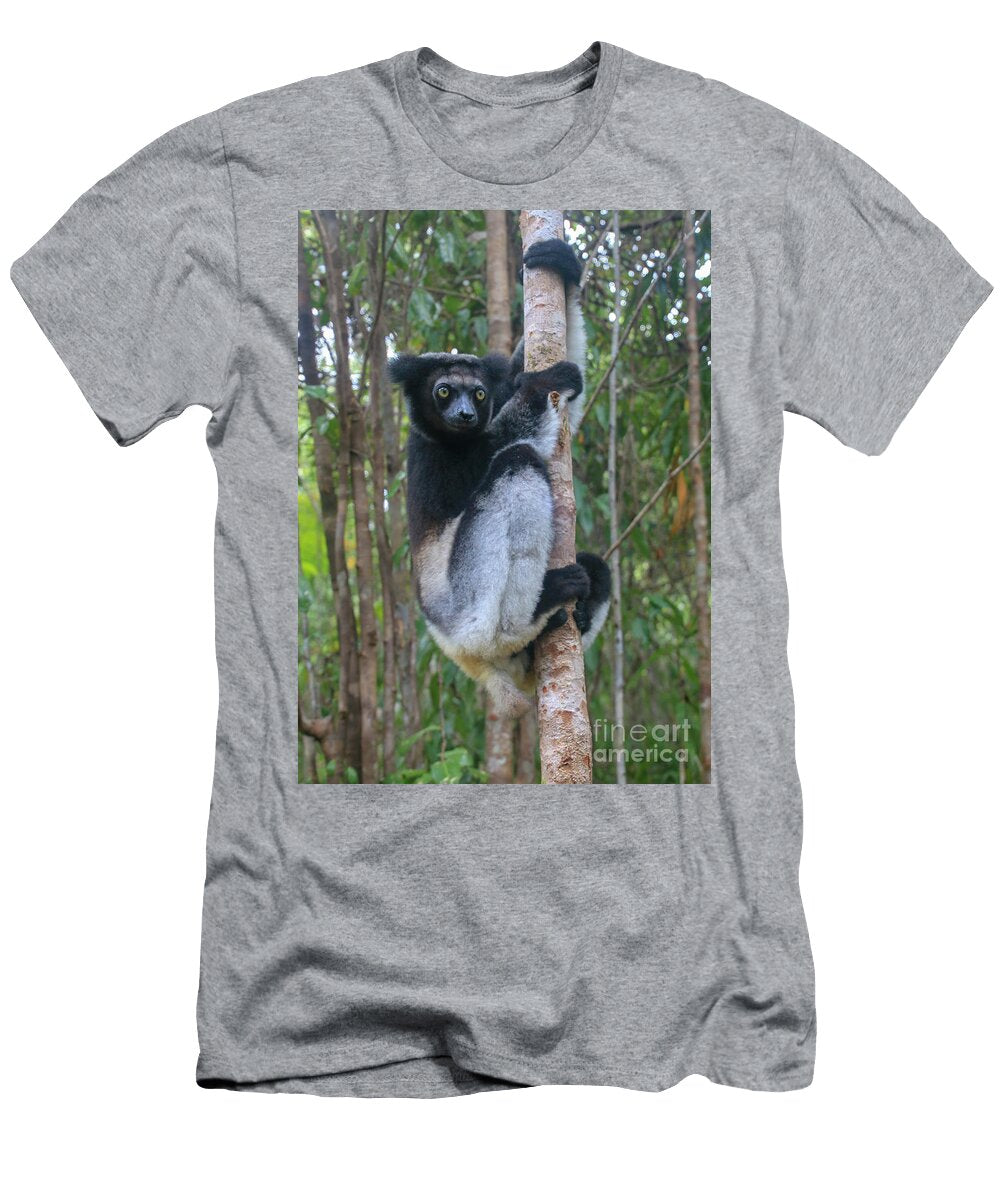 Milne Edwards Sifaka Gilad Flesch T-Shirt