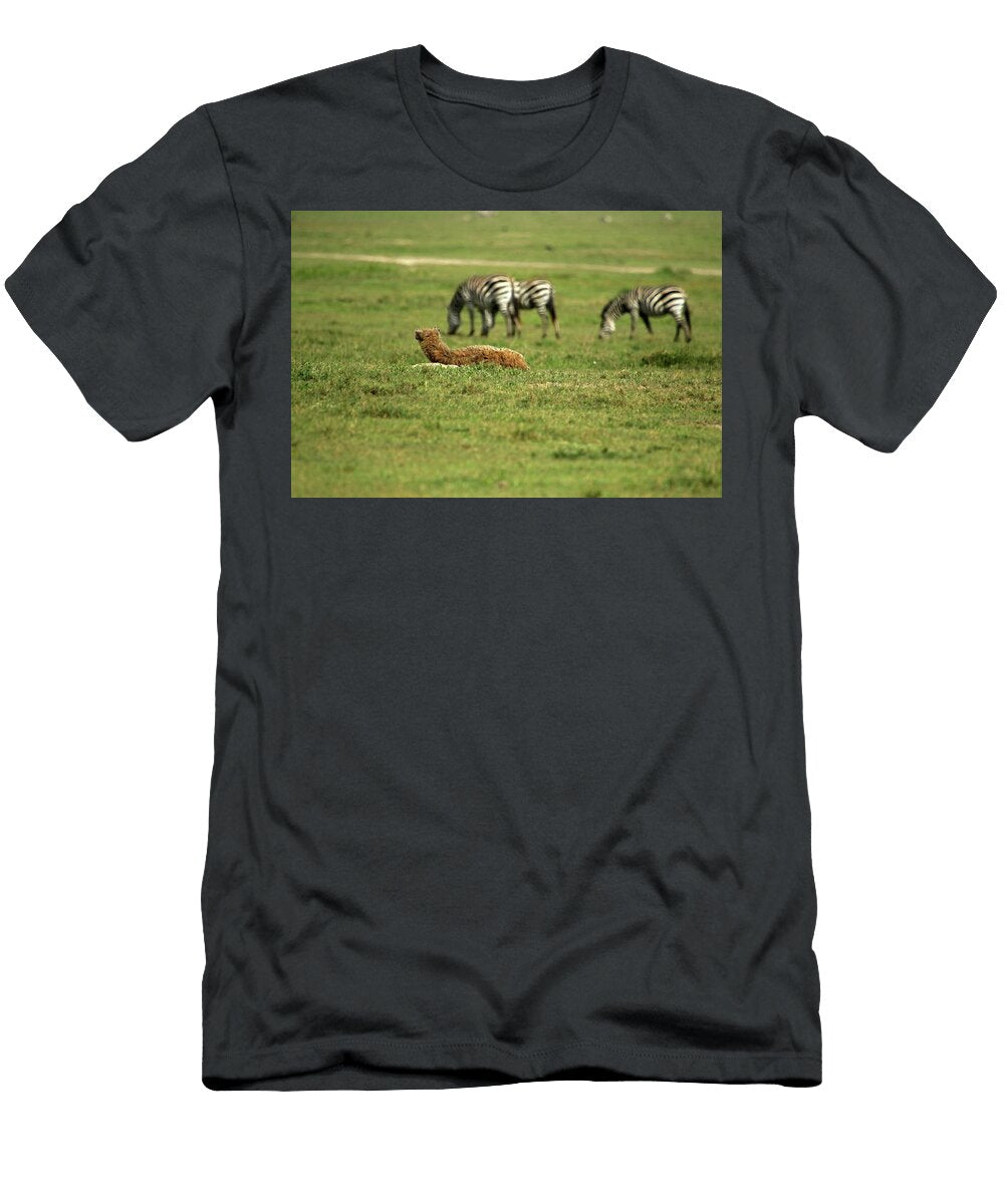 Take Your Time Tomasz Dutkiewicz T-Shirt